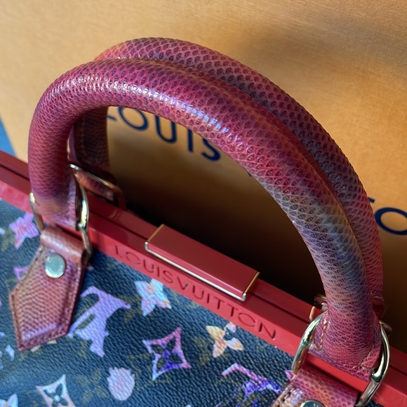 LOUIS VUITTON WATERCOLOR AQUARELLE MONOGRAM PAPILLON FRAME SNAKESKIN BAG - Picture 4 of 11